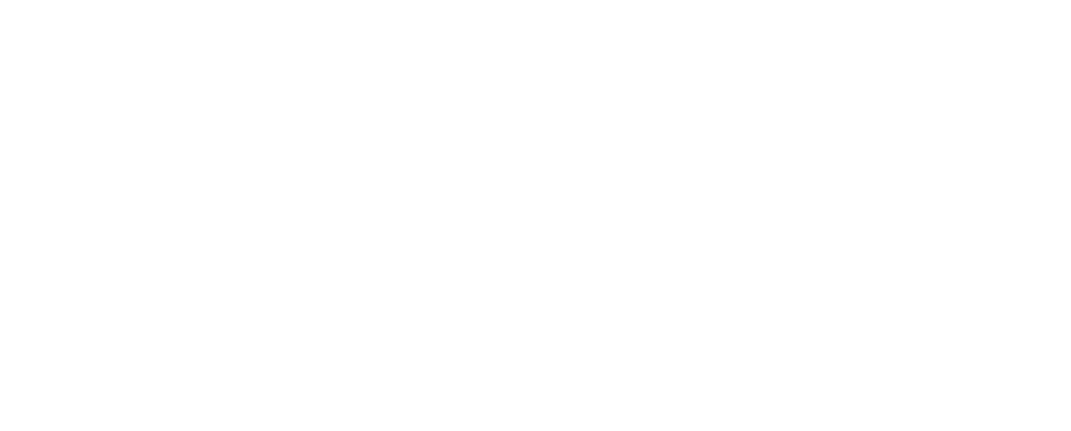 VannGuard Logo